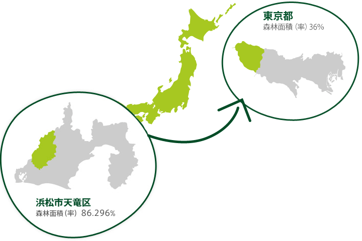 浜松と東京の森林面積