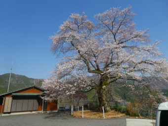 P1010100